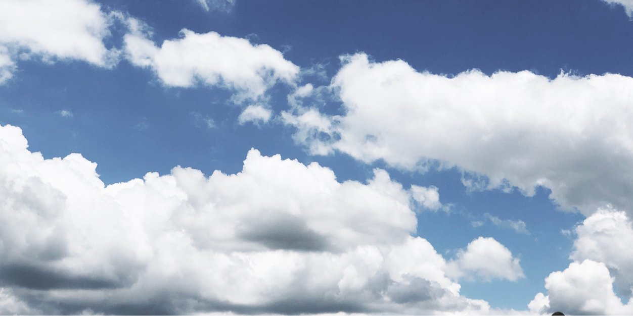 Alice Wegmann banner