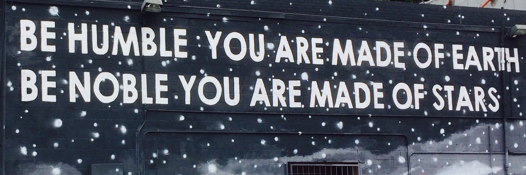 Cameron Norman banner