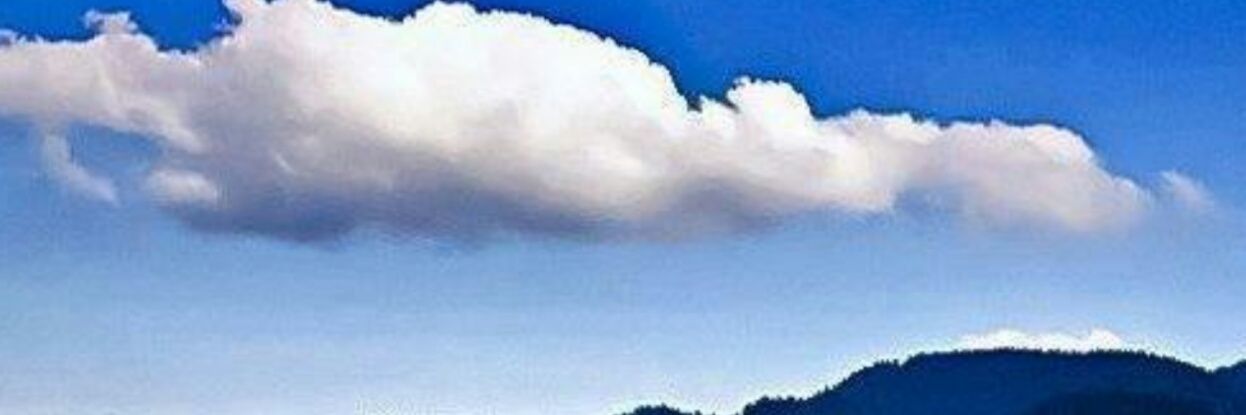 Babsh123's profile banner image