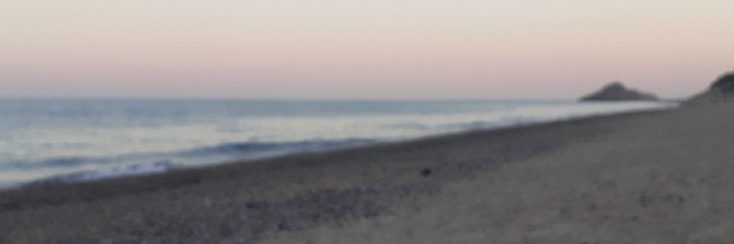 AngeliqueVBeek's profile banner image