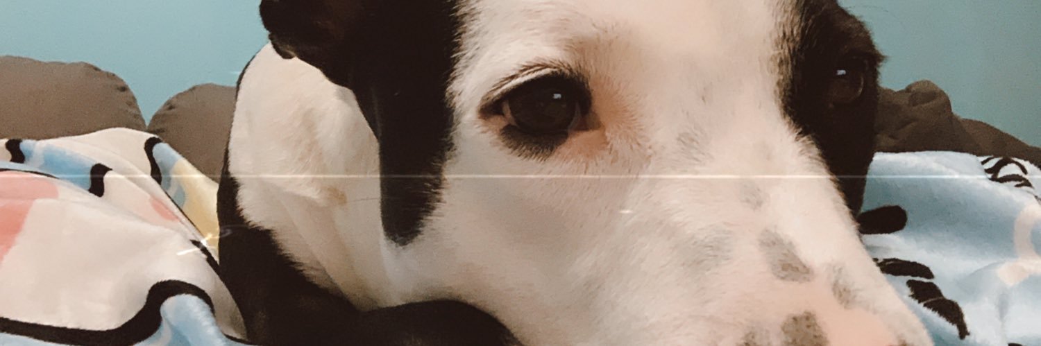 claudiamp92's profile banner image