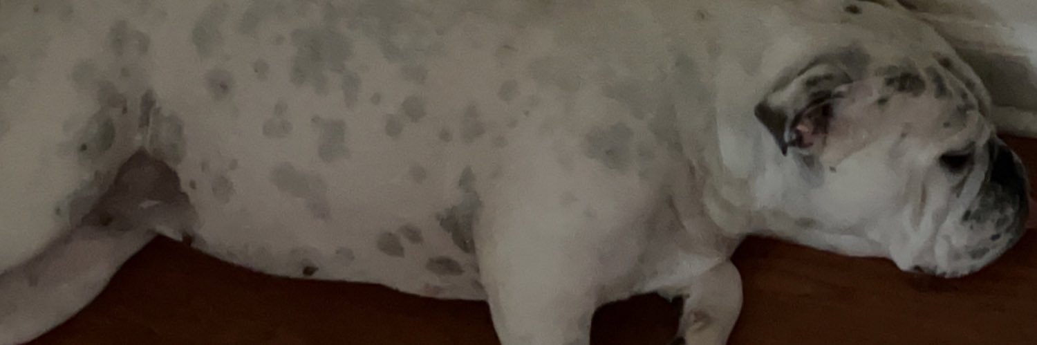 brickoven36's profile banner image