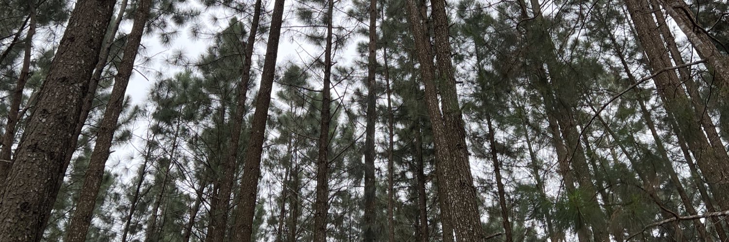crazyshaaaa's profile banner image