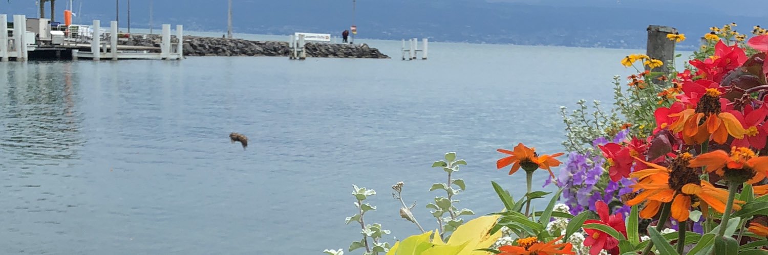 q8jore's profile banner image