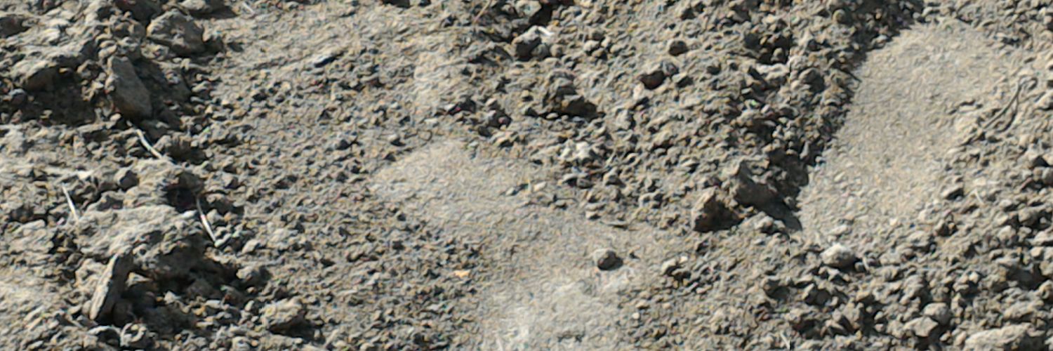 MrfsEu's profile banner image