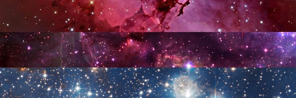 NyanbinaryRose's profile banner image