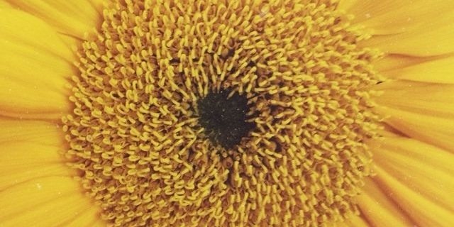 chellybabii22's profile banner image