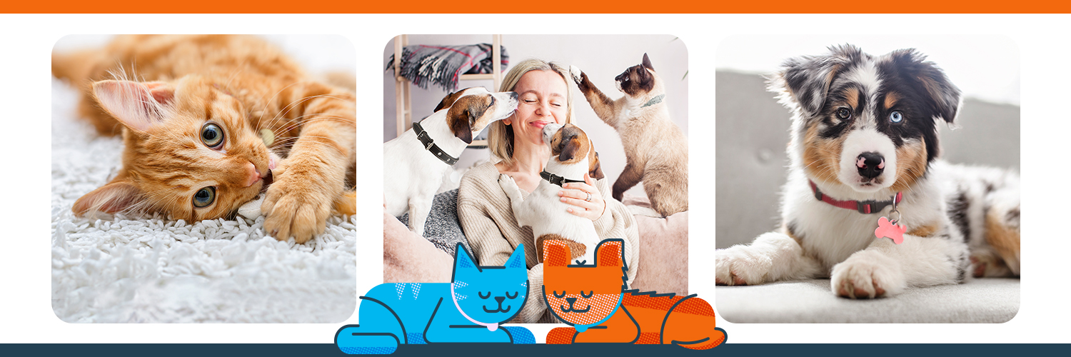 ASPCA Pet Insurance banner