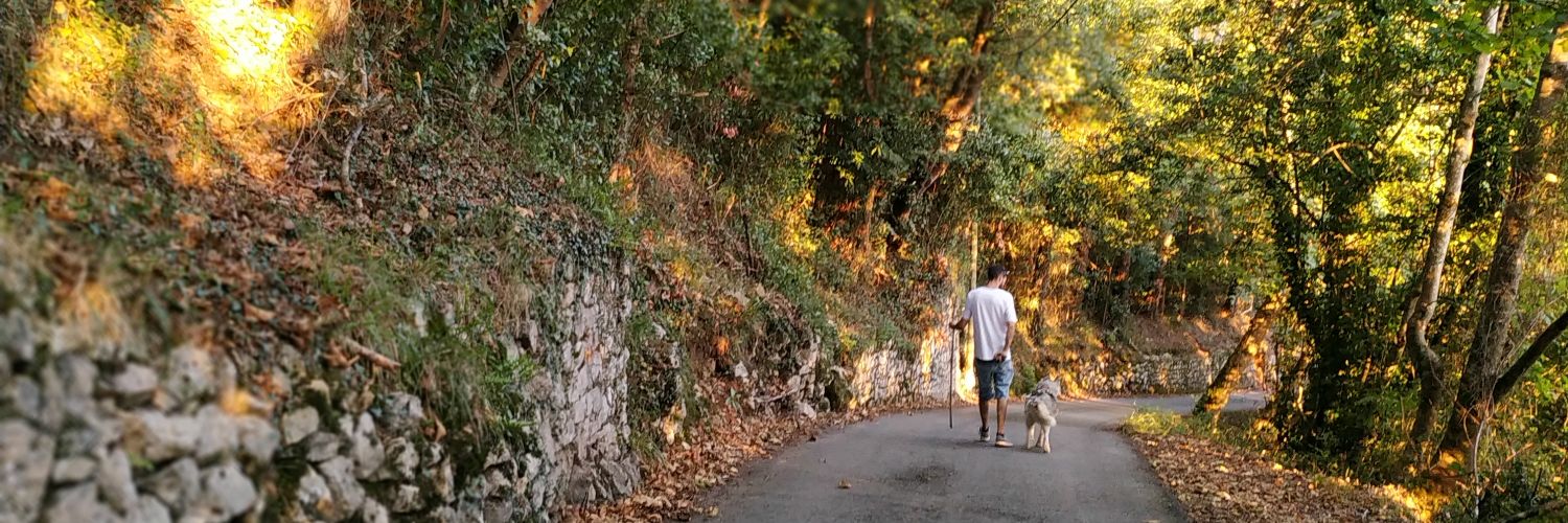 ruegodedo's profile banner image