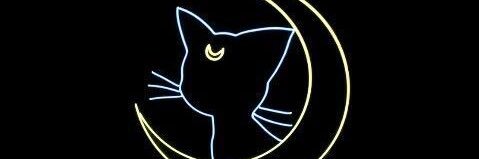 Sailor V banner