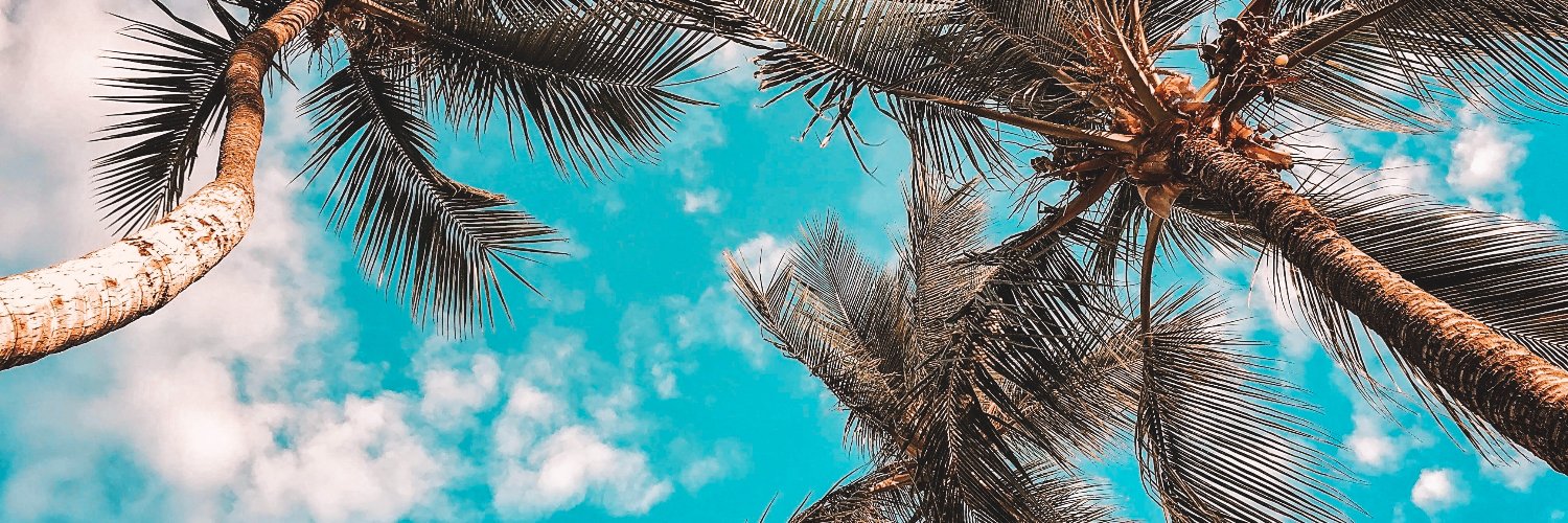 LuciaaCosimano's profile banner image