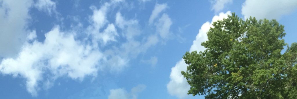 zooboyyy's profile banner image