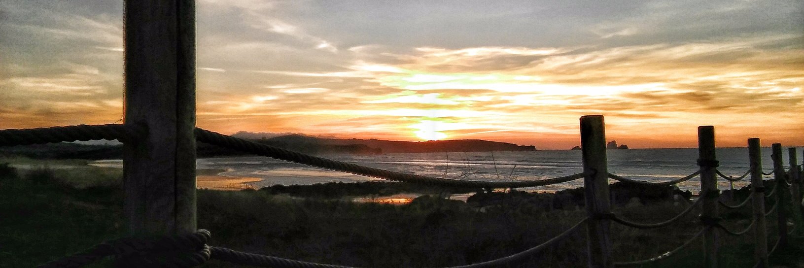 Francesc Viver banner