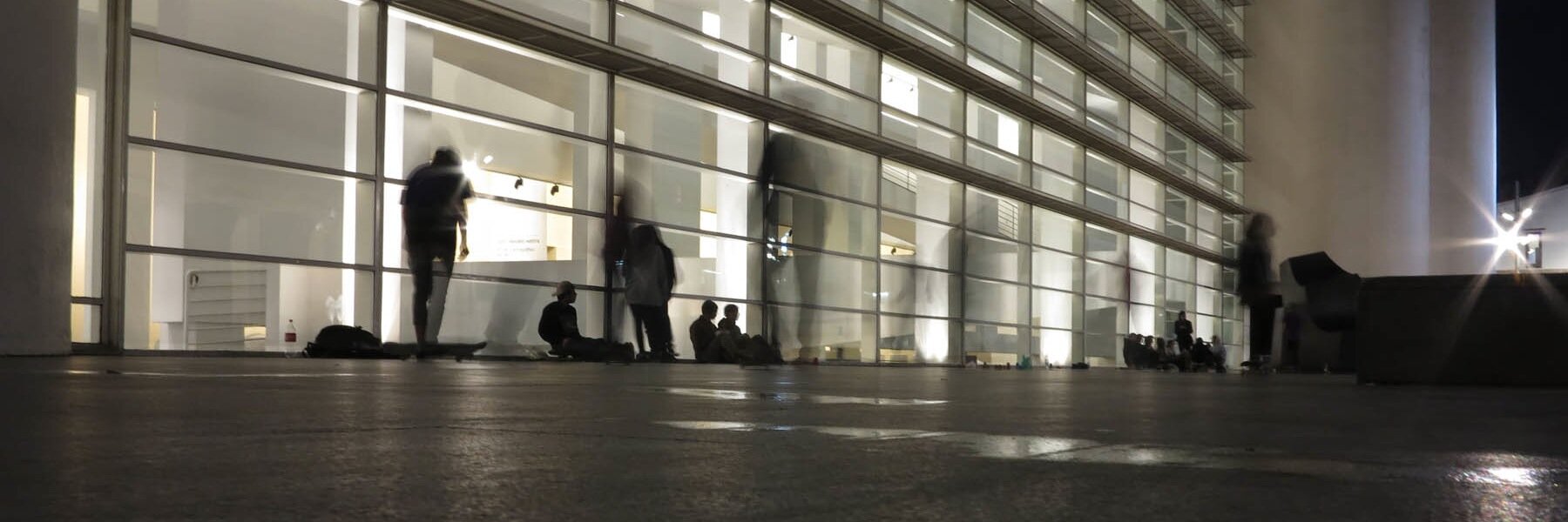 claudio larcher banner