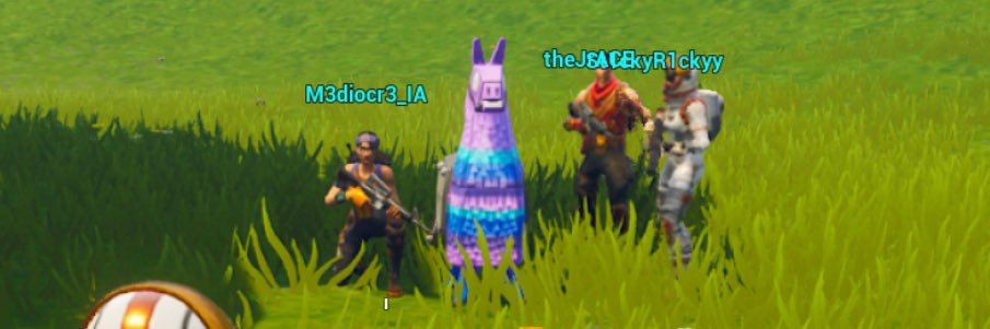 squirrellspice's profile banner image
