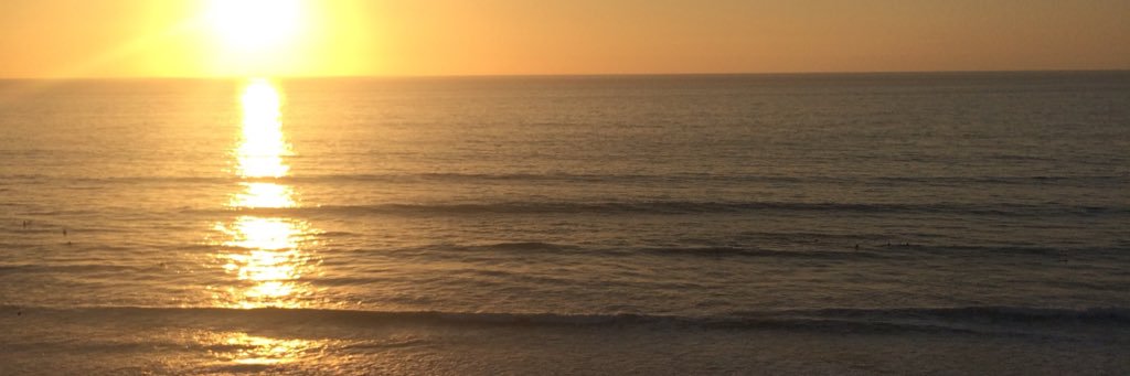 sjcahn's profile banner image