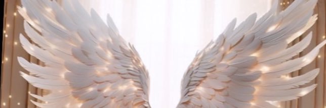 pnrsvgln's profile banner image
