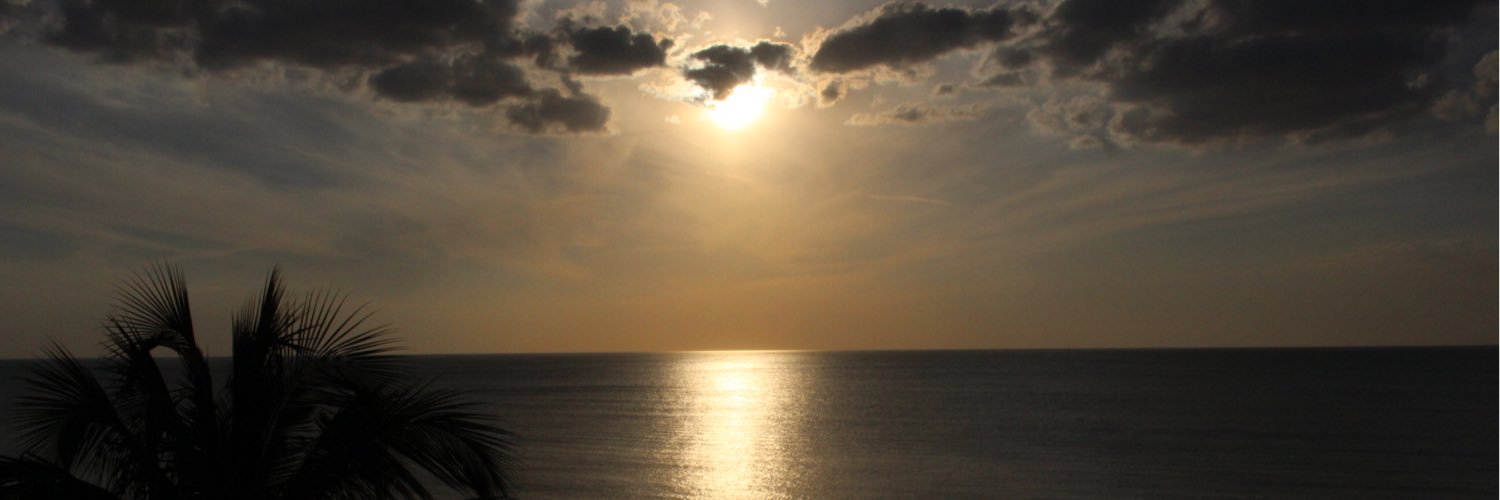 illskillwilll's profile banner image
