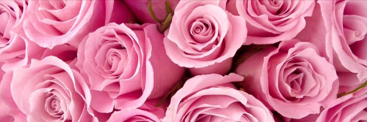 NEWW_NEWW_'s profile banner image