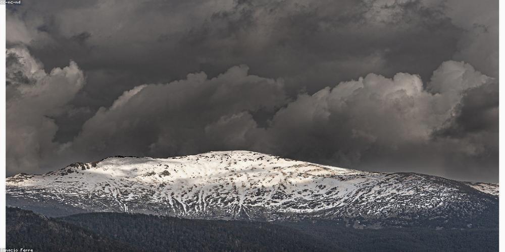 LionPcp's profile banner image