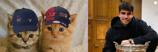 Maxs3Cats Profile Banner