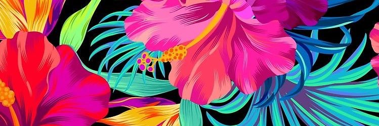 VIIC_JR's profile banner image