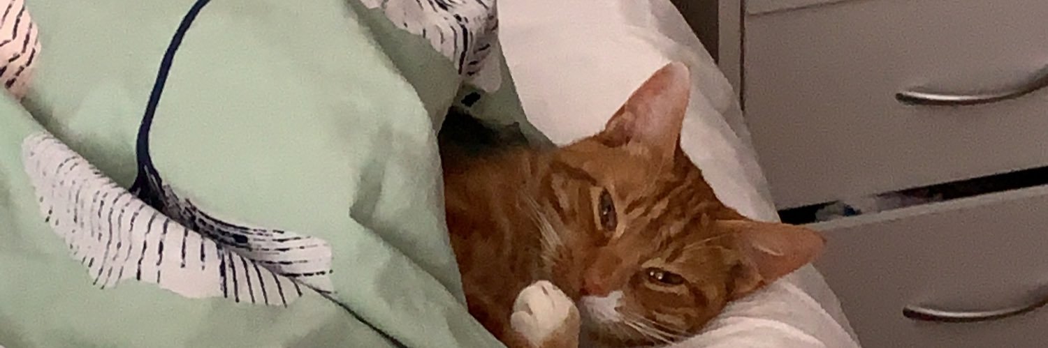 Harriet Mcallister banner