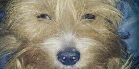 MigueDora's profile banner image