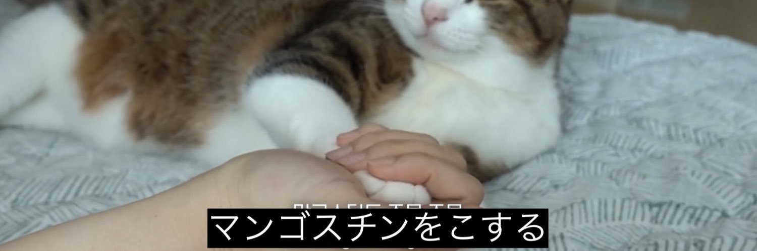 gunnsousann's profile banner image