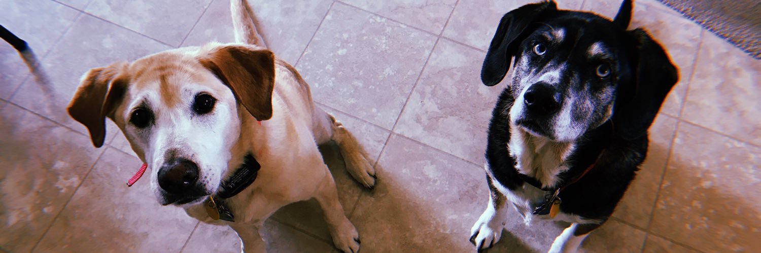 HaleyGabriel's profile banner image