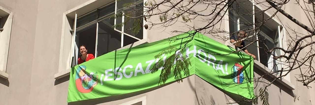 Constanza Dougnac banner