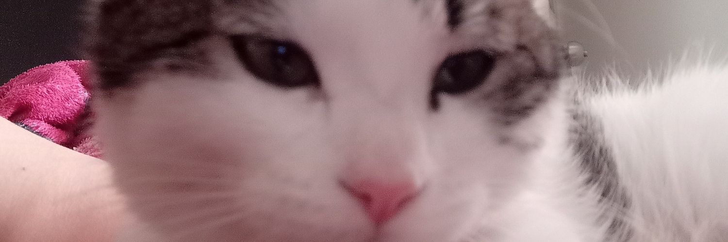 GABOVALLEJ0's profile banner image