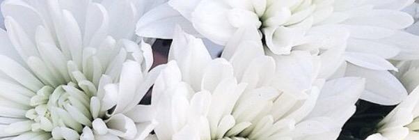 JulieVandelac's profile banner image