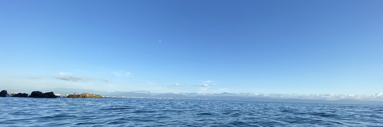 Laura H O  banner