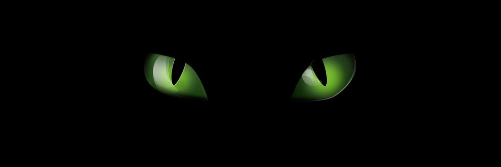 はいねこ banner