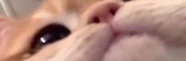 notseanstaley's profile banner image