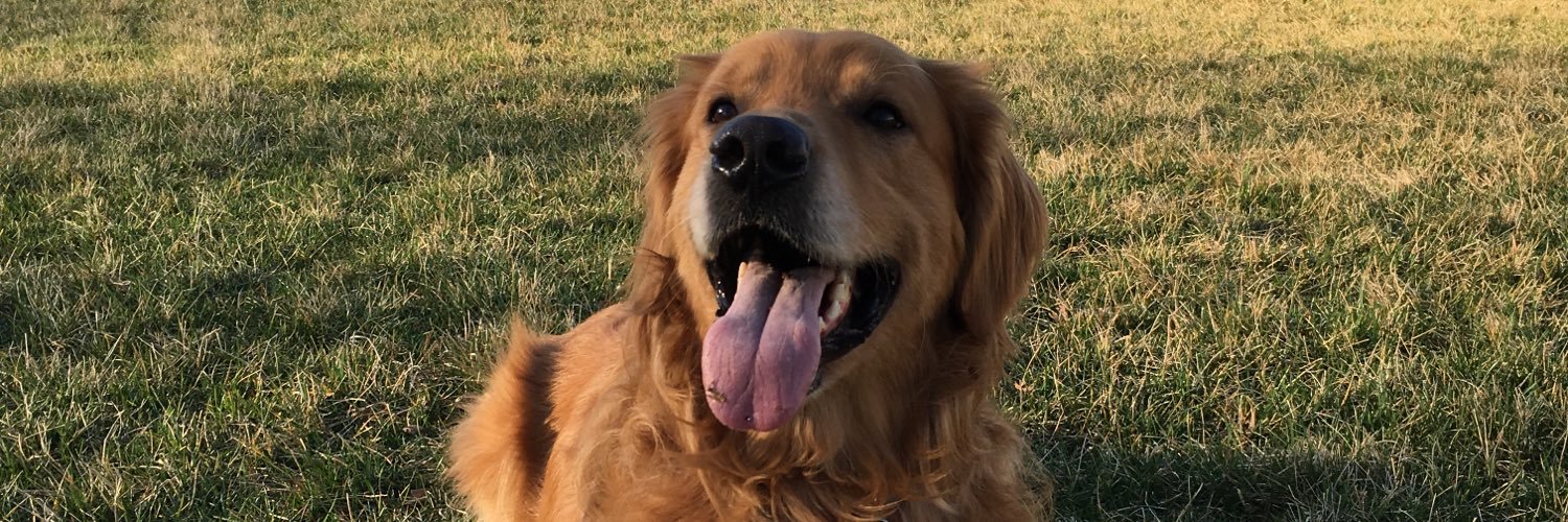 TravisKrogman's profile banner image