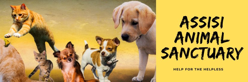 Assisi Animal Sanctuary banner