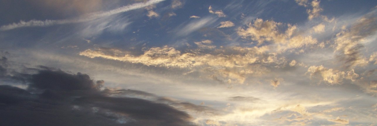 cath11cc's profile banner image