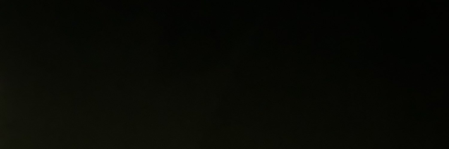 VinnyCarrozza's profile banner image