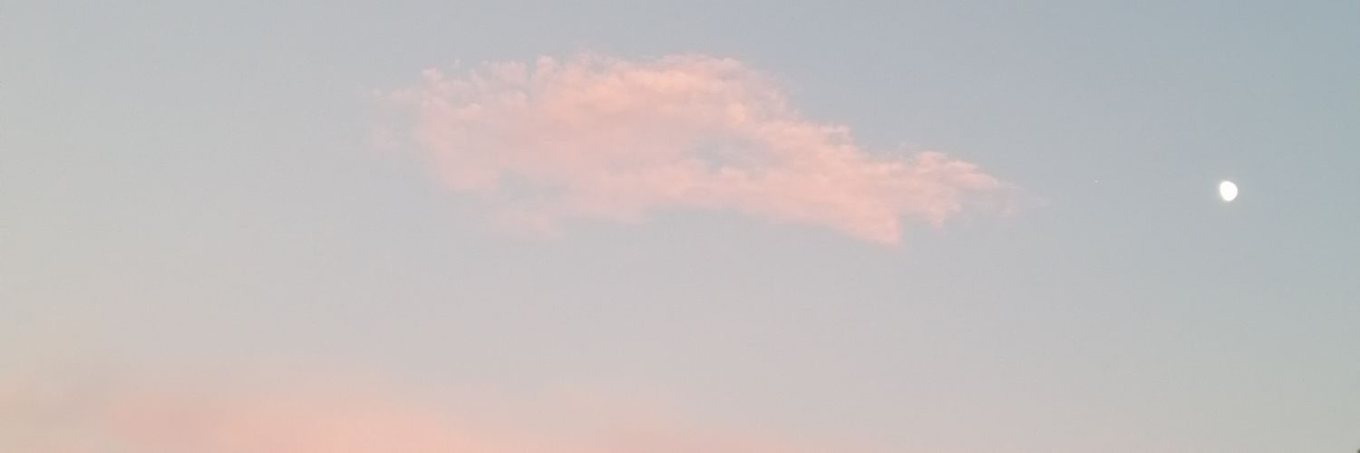 NereaSanchez66's profile banner image