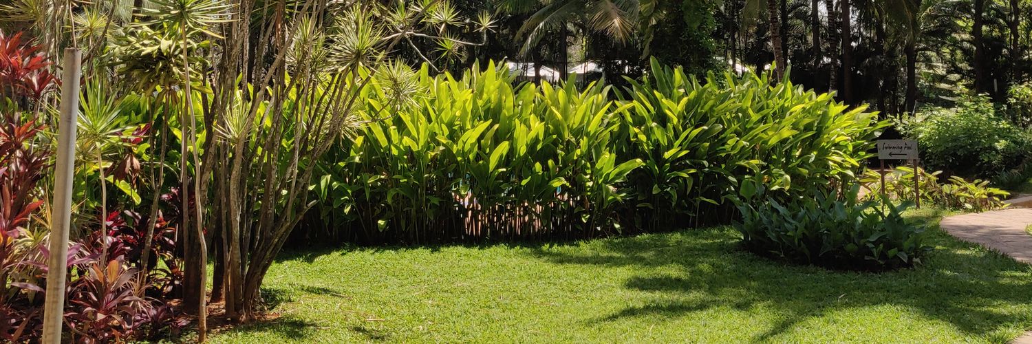 Nikitalamba_'s profile banner image