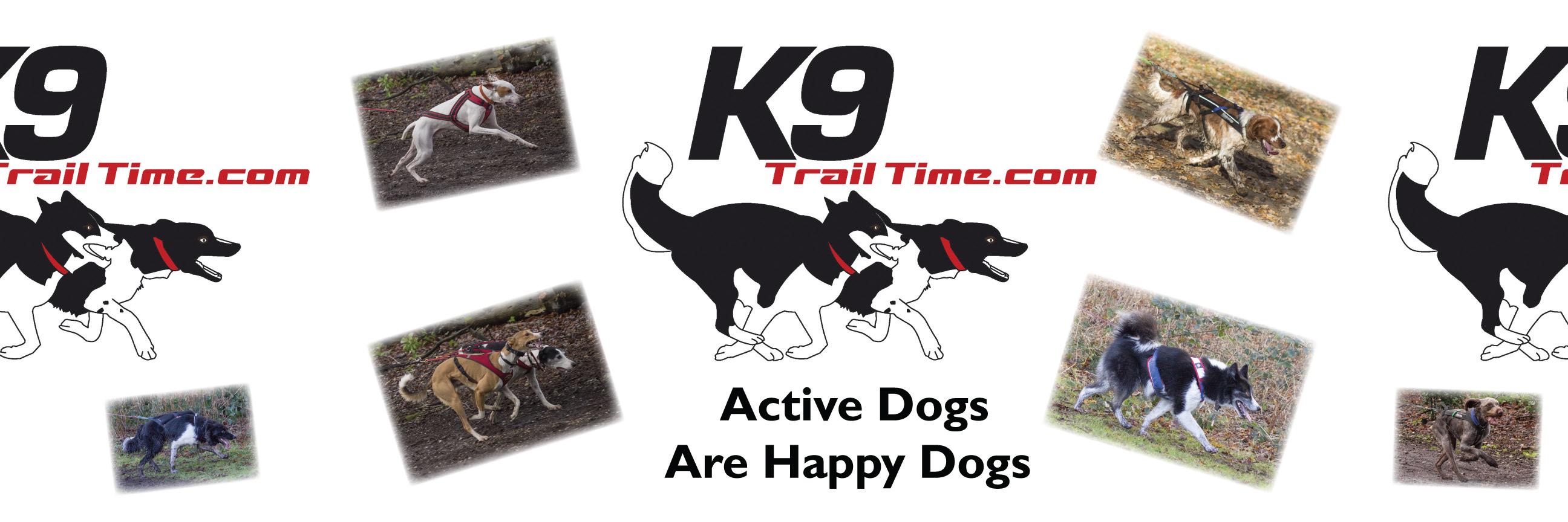 K9 Trail Time banner