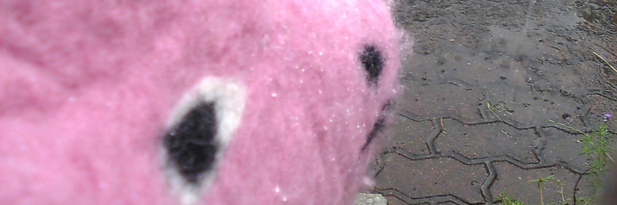 sweet_veg's profile banner image
