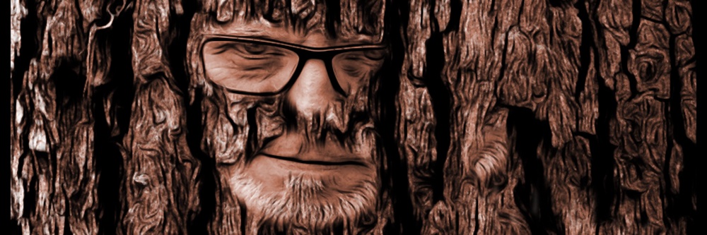 The Appalachian Cryptster, aka The Hip Cryptster banner