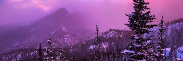 sin banner