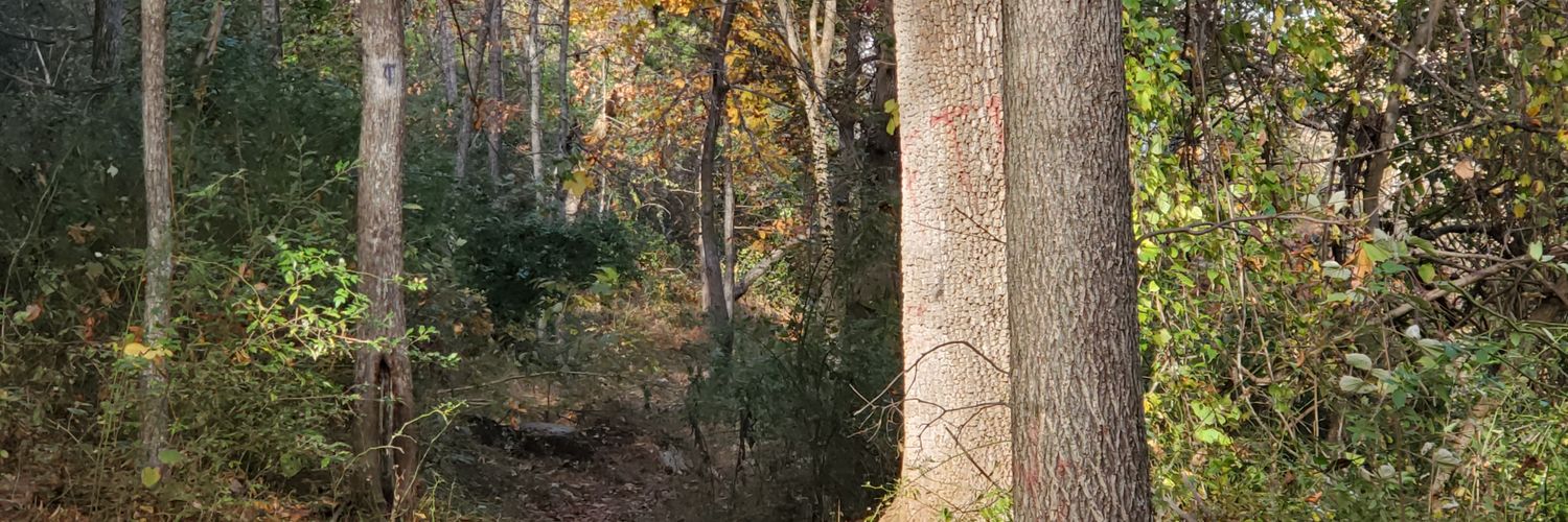 HeatherLeventry's profile banner image