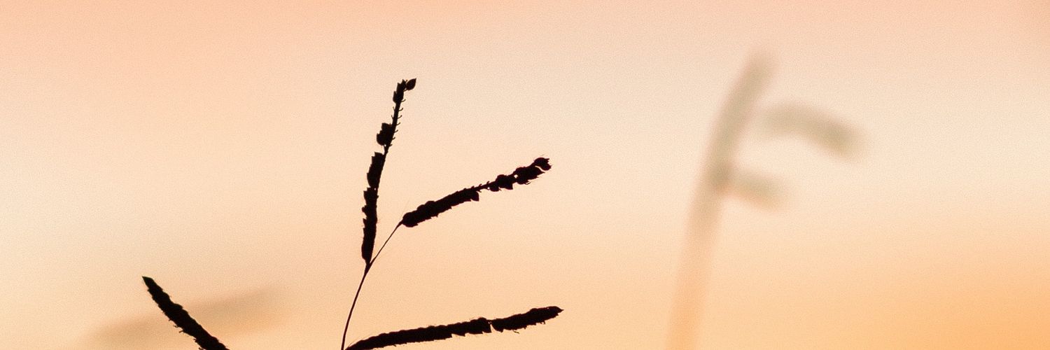 marvinpuethe's profile banner image