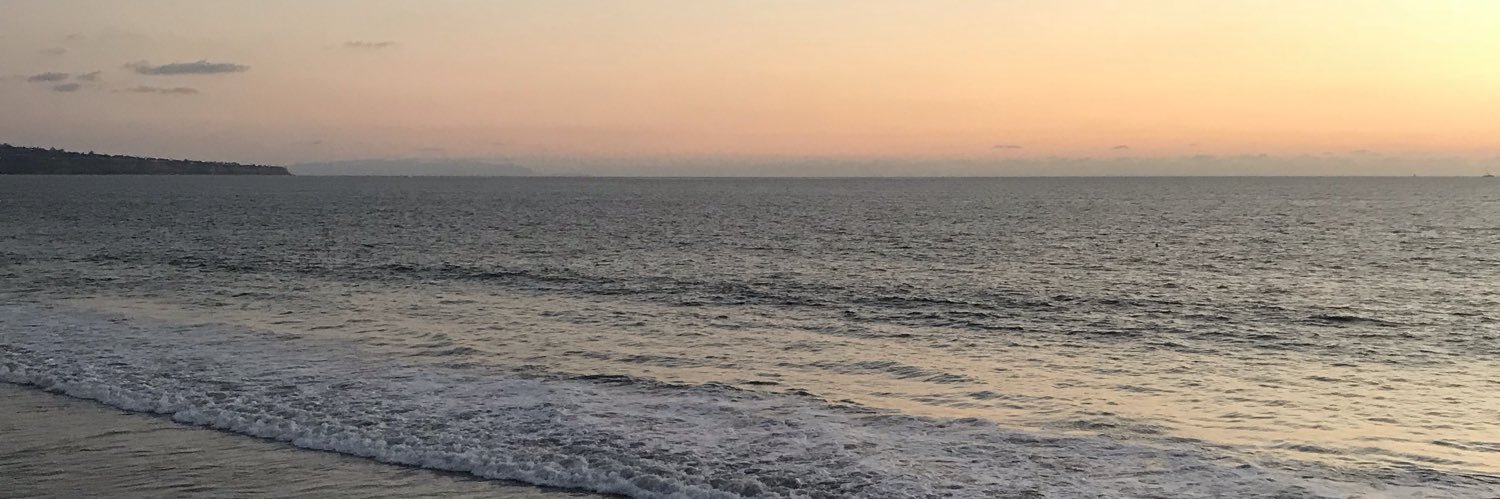 oneciaroman's profile banner image