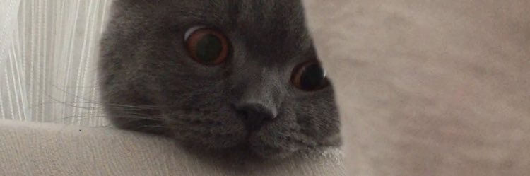 Tskndilan's profile banner image